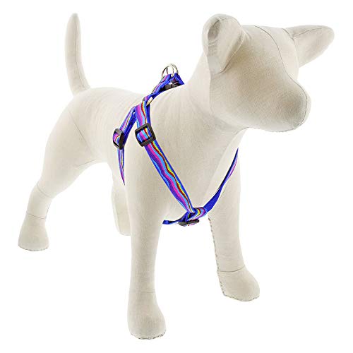 Lupine Pet Small Dog Adjustable Step in Harness 3/4" Wide Ripple Creek Design with 15-21" Girth