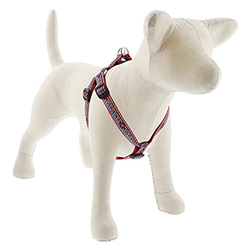 Lupine Pet Adjustable Step in Harness 3/4" Wide El Paso with 15-21" Girth