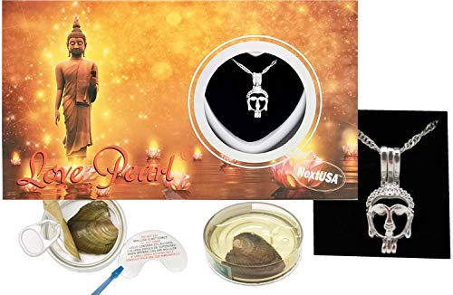 Puka Creations Love Wish Pearl Kit Chain Necklace Kit Pendant Cultured Pearl in Kit Set with Stainless Steel Chain 16" (Buddha)