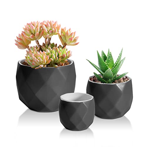 T4U Succulent Pots with Drainage Hole 3-Pack - Small Ceramic Succulent Planter for Tiny Cactus, Herb, Bonsai Plant, Mini Flower Pot for Indoor Home Office Living Room Decor (No Plants)