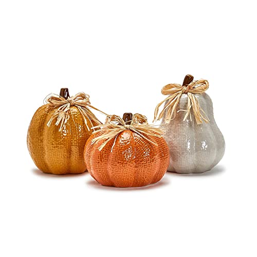 Two's Company Pretty Patch Set of 3 Faux Jute Texture Pumpkins w/Raffia Bows in 3 Sizes/Colors