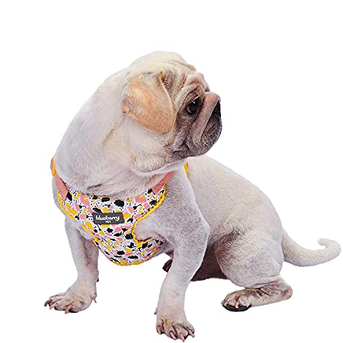 Blueberry Pet 5 Patterns Soft & Comfy Made Well Blooming Floral No Pull Mesh Dog Harness Vest in Creamy White, Chest Girth 17.5"-21", Small, Adjustable Harnesses for Dogs