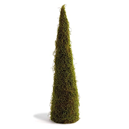 Napa Home & Garden Floral Collection-Mossy Cone Topiary 41 inches