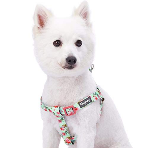 Blueberry Pet 9 Patterns Step-in Spring Scent Inspired Floral Rose Print Turquoise Dog Harness, Chest Girth 20" - 26", Medium, Adjustable Harnesses for Dogs