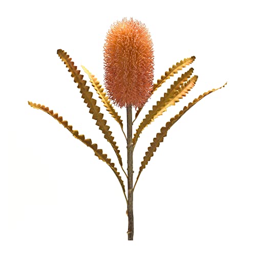 Melrose 85798 Banksia Stem, 24" H, Plastic