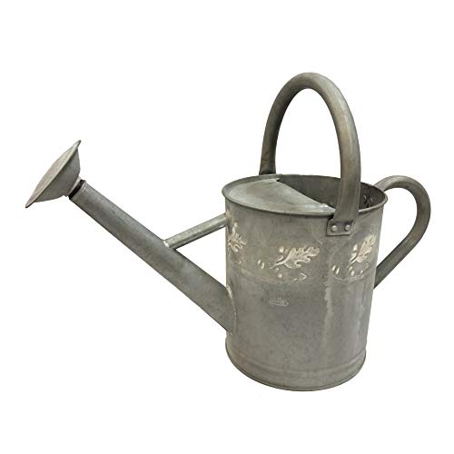 BFG supply Gardener Select W3005ZH Antique Watering Can, White Washed