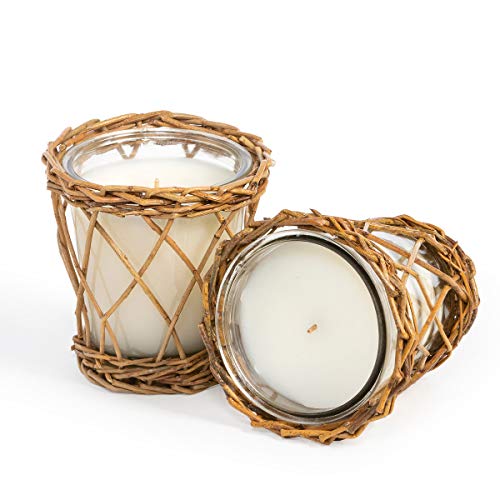 Park Hill Collection XNP10009 Silver Birch Willow Candle