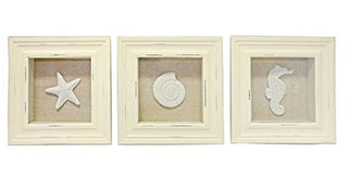 Beachcombers 3 Sealife Shadow Boxes Seahorse Starfish Shell Seashell