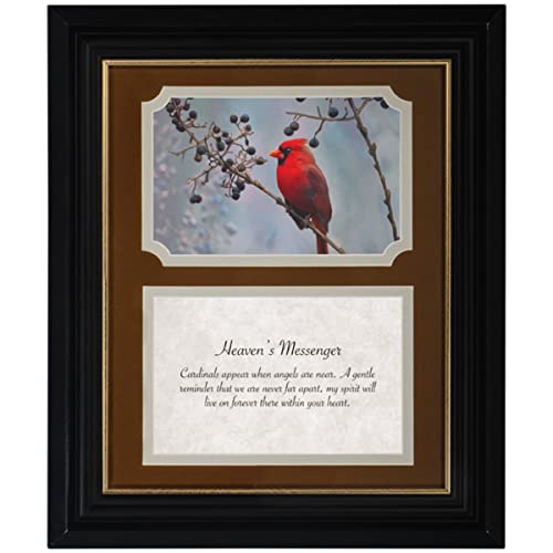 Carson Home 23129 Cardinals Appear Prayer Frame, 12-inch Height