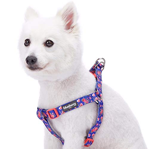 Blueberry Pet 9 Patterns Step-in Spring Scent Inspired Rose Print Irish Blue Dog Harness, Chest Girth 26" - 39", Large, Adjustable Harnesses for Dogs