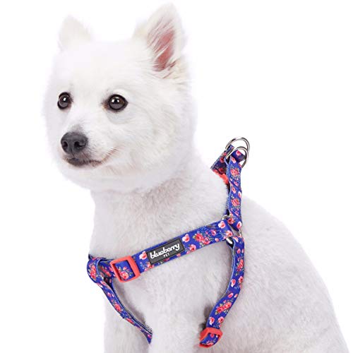 Blueberry Pet 9 Patterns Step-in Spring Scent Inspired Rose Print Irish Blue Dog Harness, Chest Girth 16.5" - 21.5", Small, Adjustable Harnesses for Dogs