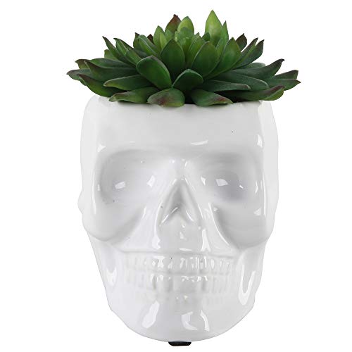Flora Bunda 4.5X3.5 Ceramic Sugar Skull Succulent, WH
