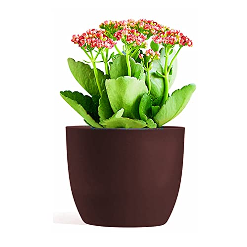 T4U 6 Inch Plant Pots for Indoor Plants - 6-Pack Plastic Self Watering Planter Small Flower Pot Brown, Decorative Nursery Planting Pot for Snake Plant, African Violet, Aloe and Most House Plants