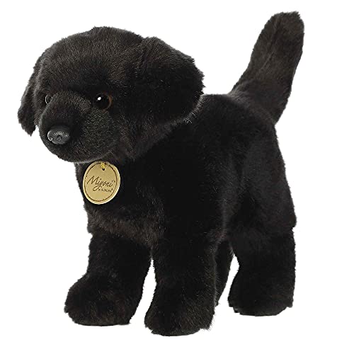 Aurora - Miyoni - 10" Black Labrador