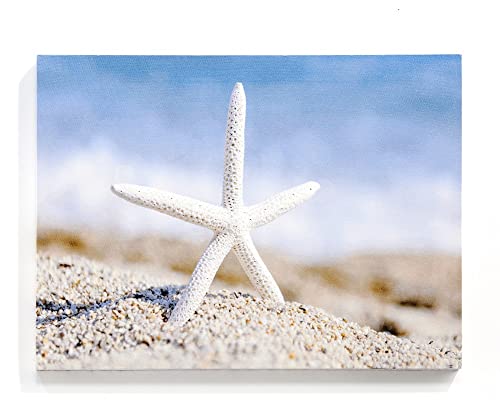 Giftcraft 682881 Christmas LED Starfish and Beach Print with Timer, 0.71 inch, Medium Density Fiberboard, Polyester