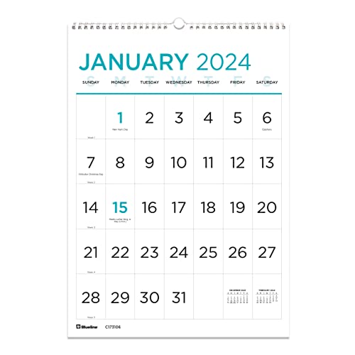 Rediform Blueline Monthly Wall Calendar, Large Print, 12 x 17 inches