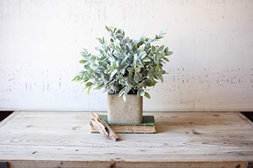 Kalalou GwG Outlet Artificial Sage Bush in A Square Pot CNL1010