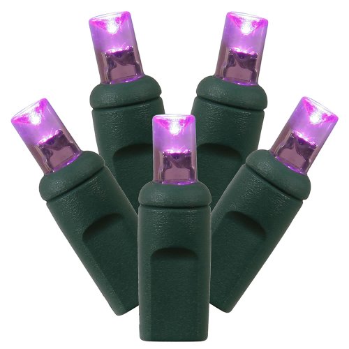Vickerman 50 Light Wide Angle Purple Twinkle LED light set on Green Wire