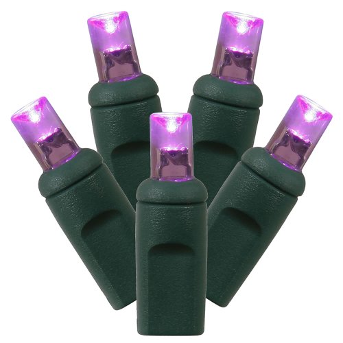 Vickerman 50 Light Wide Angle Purple LED Light Set on Green Wire