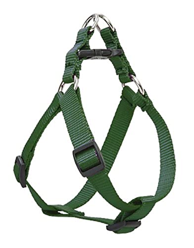 Lupine Pet Basics 3/4" Green 20-30" Step In Harness for Medium Dogs