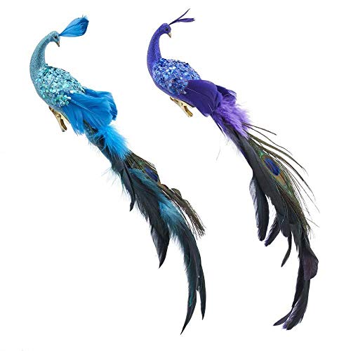 Kurt Adler Feather Peacock with Clip Bird Ornaments 2 Assorted