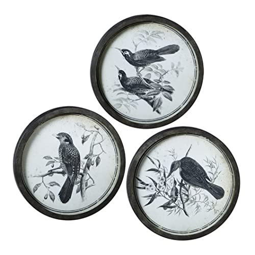 Ganz 110250 Round Bird Pen and Ink with Glass Wall Art, Set of 3, 20.63-inch Height
