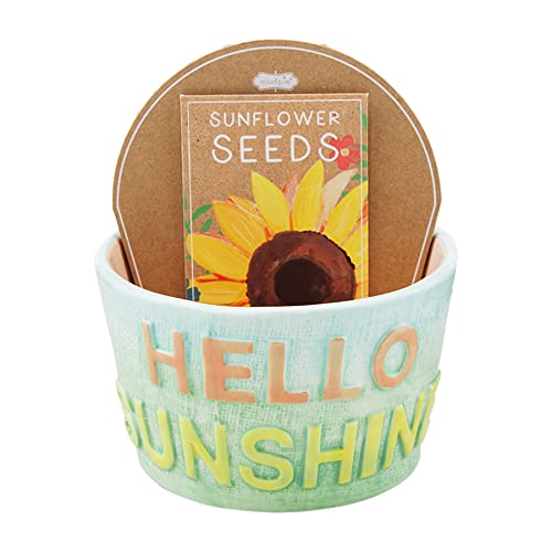Mud Pie Colorful Planter Seed, Hello Sunshine, 3" x 3.65" Diameter, Dolomite