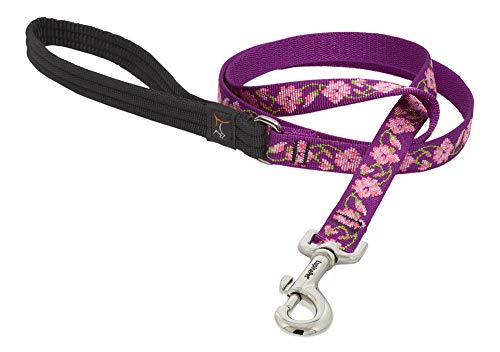 Lupine Pet Originals 3/4" Rose Garden 6-Foot Padded Handle Leash for Medium and Larger Dogs