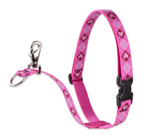 Lupine Pet Originals 3/4" Puppy Love 16-26" No Pull Harness for Small-Medium Dogs