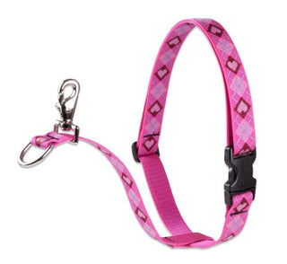 Lupine Pet Originals 3/4" Puppy Love 16-26" No Pull Harness for Small-Medium Dogs