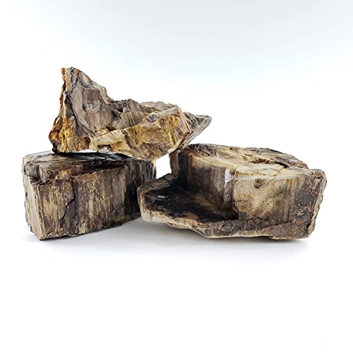Lifegard Aquatics Aquascaping Canyon Petrified Stone Kit ‚Äì Decorative Aquarium Rocks, Fish Tanks ‚Äì 25 Gallon Kits