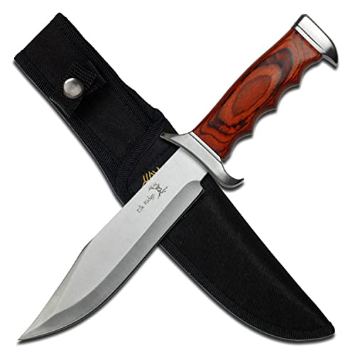 Master Cutlery Elk Ridge - Outdoors Fixed Blade Knife - 12.5-in Overall, Satin Finish Stainless Steel Blade, Wood Handle, Includes Nylon Sheath - Hunting, Camping, Survival - ER-012