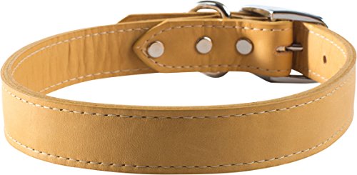 OmniPet Signature Leather Pet Collar, Barley, 1 by 22"