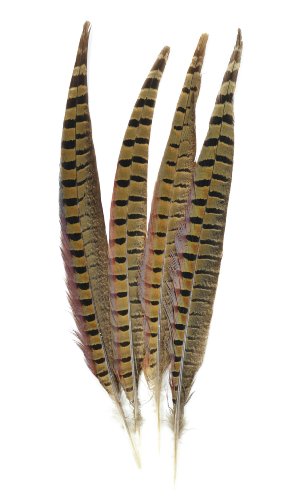 Midwest Design Femitu Touch of Nature Ringneck Pheasant Feathers 4/Pkg, Natural