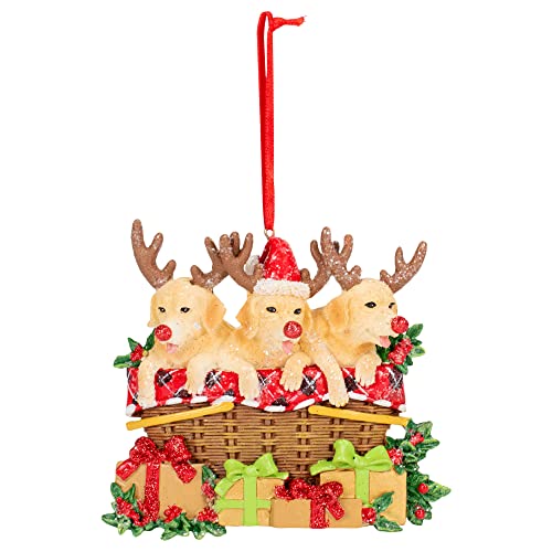 Raz Imports 4107001 Reindeer Dogs Ornament, 4.5-inch Height, Polyresin