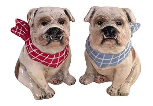Blue Sky Clayworks Clayworkss Penelope Salt & Pepper Set, Multi