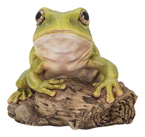Hi Line Gift White's Tree Frog, Green