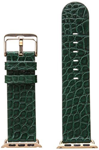 Hadley Roma AP1000UJ 38R 38mm Apple Strap Alligator MTE Leather Alligator Green Watch Strap