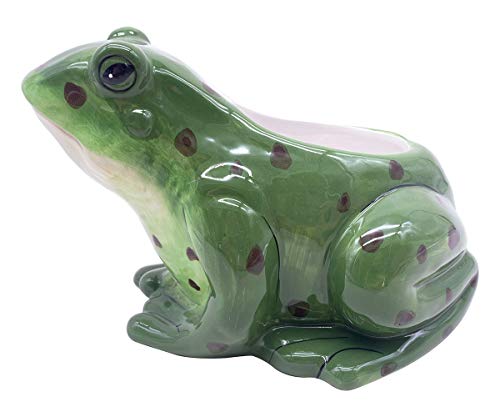 Blue Sky Clayworks Clayworks Frog 8" Planter, Multi Color