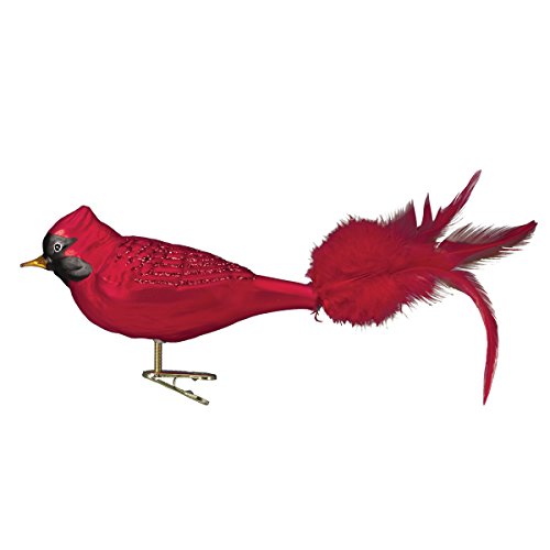 Old World Christmas Bird Watcher Collection Glass Blown Ornaments for Christmas Tree Cardinal