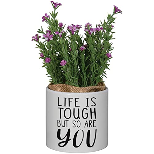 Carson Home 24605 Life is Tough Decorative Planter with Artificial Flowers, 7.5-inch Height, Ceramic