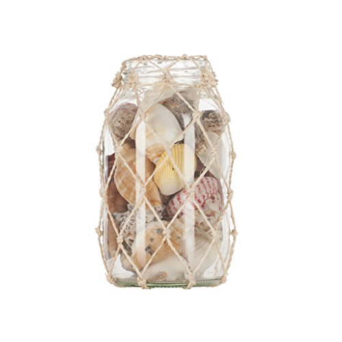 HS Seashells The Seashell Company Shell Jar in Abaca 3x6
