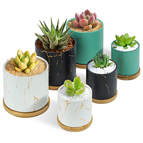 T4U 2.5/3 Inch Small Succulent Pots, Ceramic Small Plant Pots Indoor with Drainage Hole for Tiny Cactus, Herb, Bonsai Plant, Mini Colored Pot for Indoor Home Office Room Decor (No Plants), 6 Pack