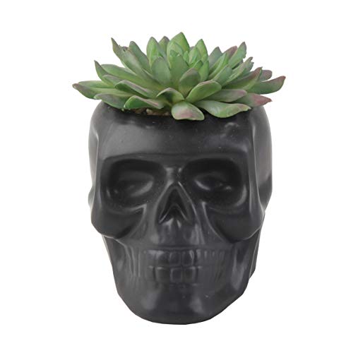 Flora Bunda 4.5X3.5 Ceramic Sugar Skull Succulent, Matt Black