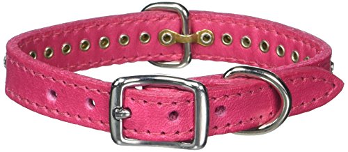 OmniPet Signature Leather Crystal and Leather Dog Collar, 12", Raspberry