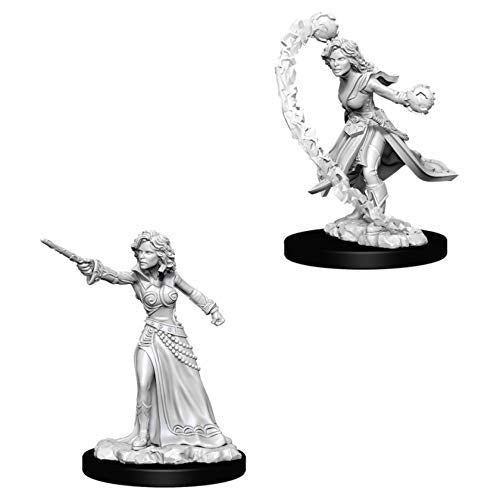 WizKids Store Pathfinder Deep Cuts Unpainted Miniatures: Wave 6: Human Female Wizard