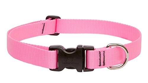 Lupine Pet Basics 1" Pink 25-31" Adjustable Collar for Extra Large Dogs