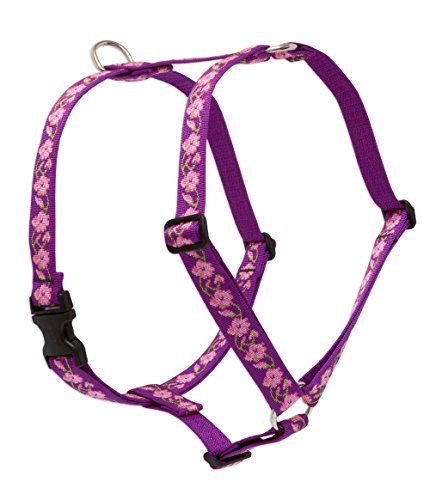 Lupine Pet Originals 1" Rose Garden 20-32" Adjustable Roman Dog Harness for Medium Dogs