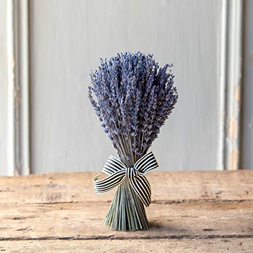 Park Hill Collection EBD90943 Dried Lavender Bundle with Ribbon, 10-inch Height, Small
