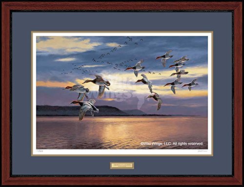 Wild Wings(MN) Daybreak At Lake Pepin Migrating Canvasbacks by David Maass Limited Edition Framed Print of 750